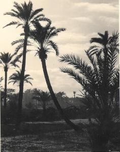 XX – – Old Images Of Africa